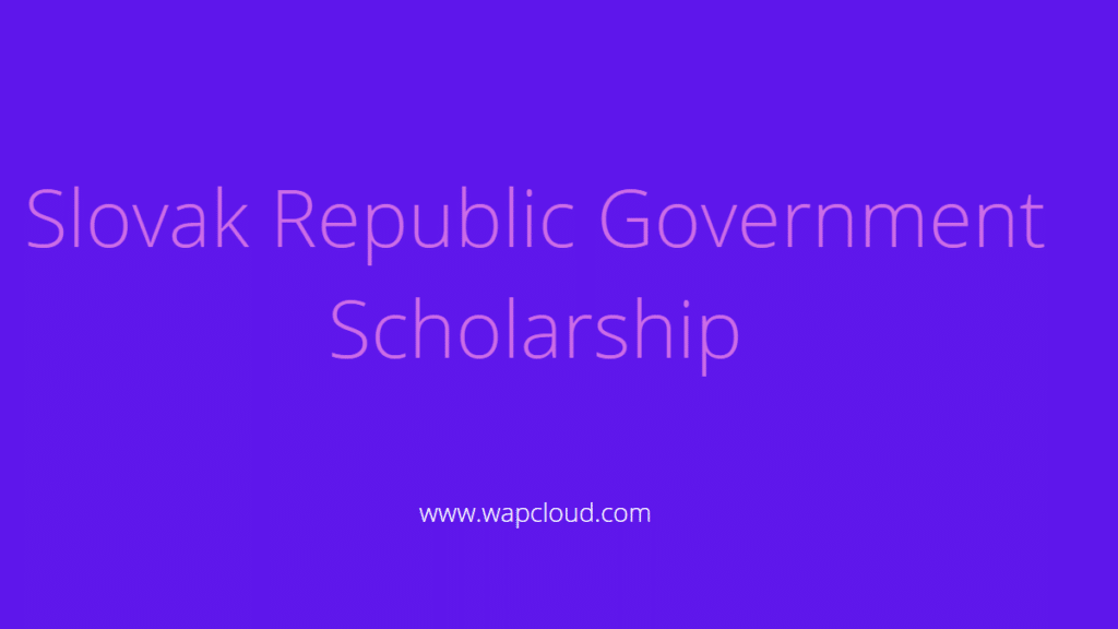 Slovak Republic Government Scholarship