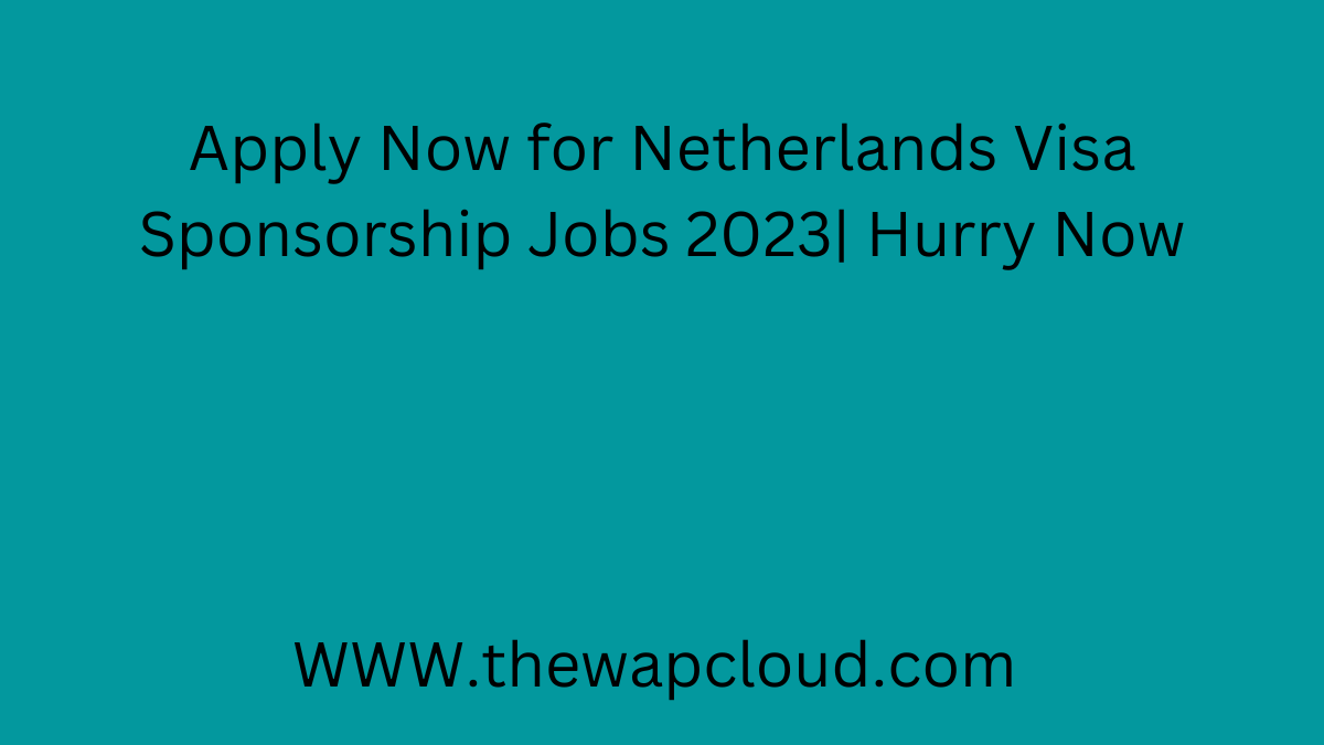 Netherlands Visa Sponsorship Jobs 