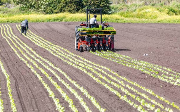 P&H Farming Jobs in Canada