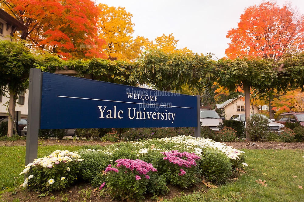 Scholarships at Yale University in 2024
